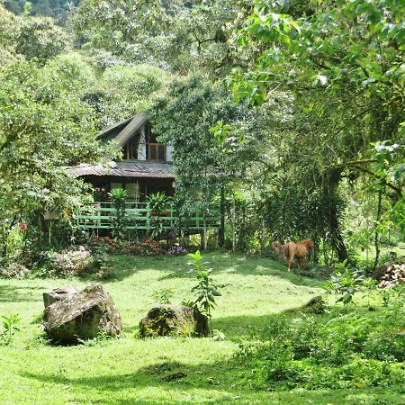 Mindo Eco Chalet Con Rio Y Cascada ภายนอก รูปภาพ