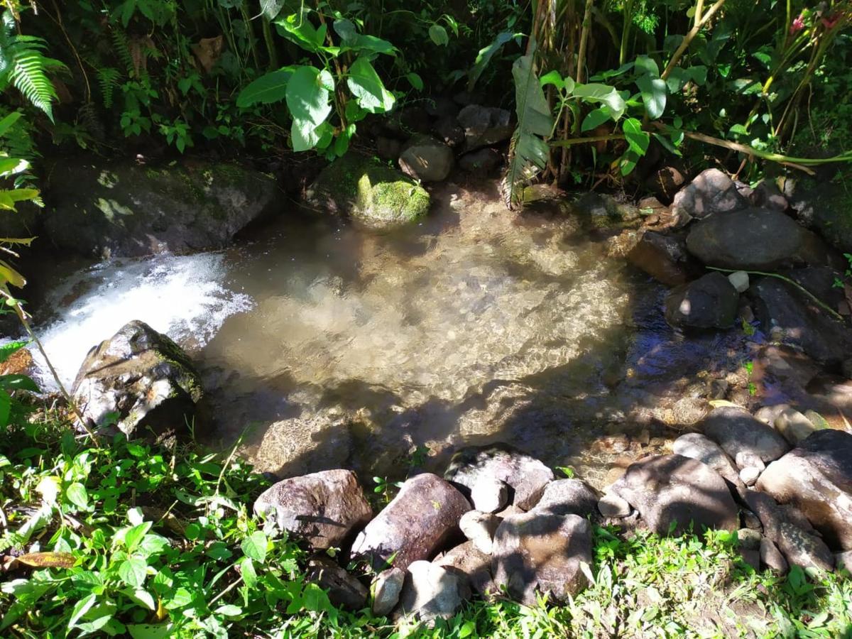 Mindo Eco Chalet Con Rio Y Cascada ภายนอก รูปภาพ