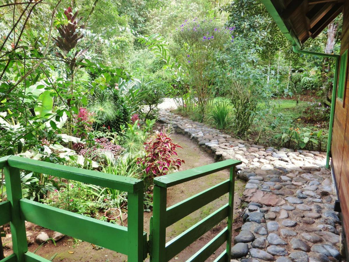 Mindo Eco Chalet Con Rio Y Cascada ภายนอก รูปภาพ