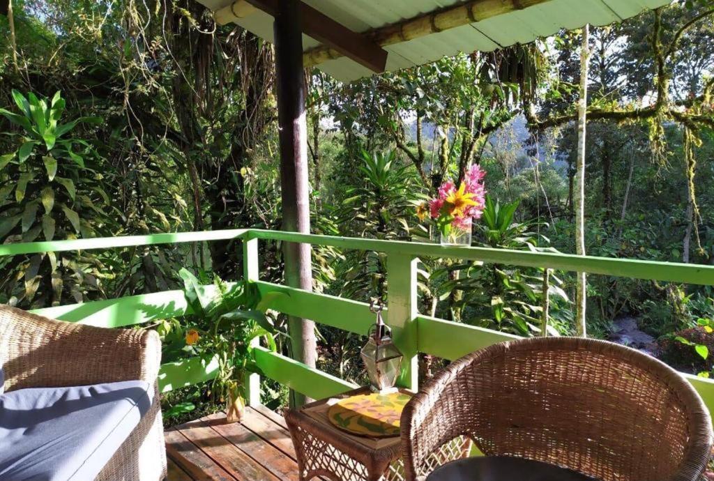 Mindo Eco Chalet Con Rio Y Cascada ภายนอก รูปภาพ