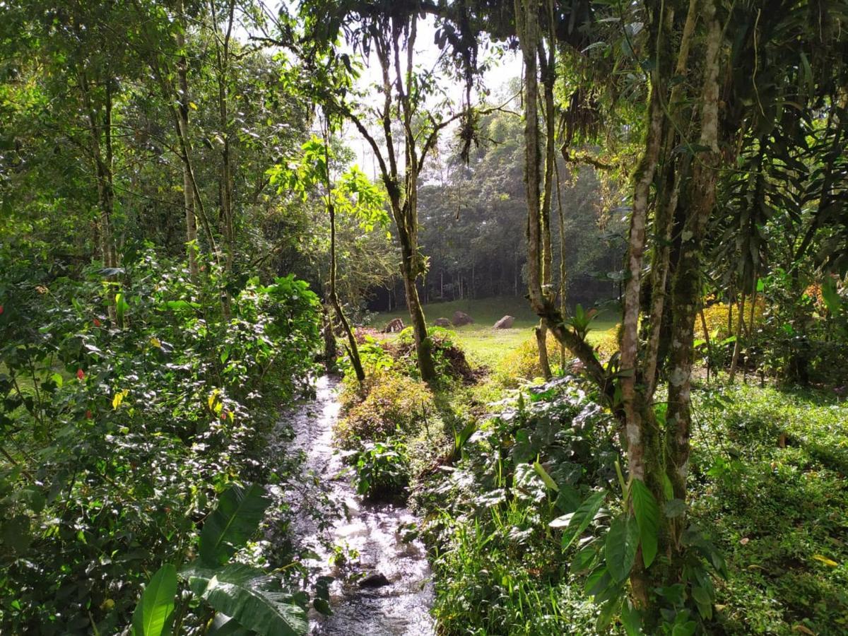 Mindo Eco Chalet Con Rio Y Cascada ภายนอก รูปภาพ